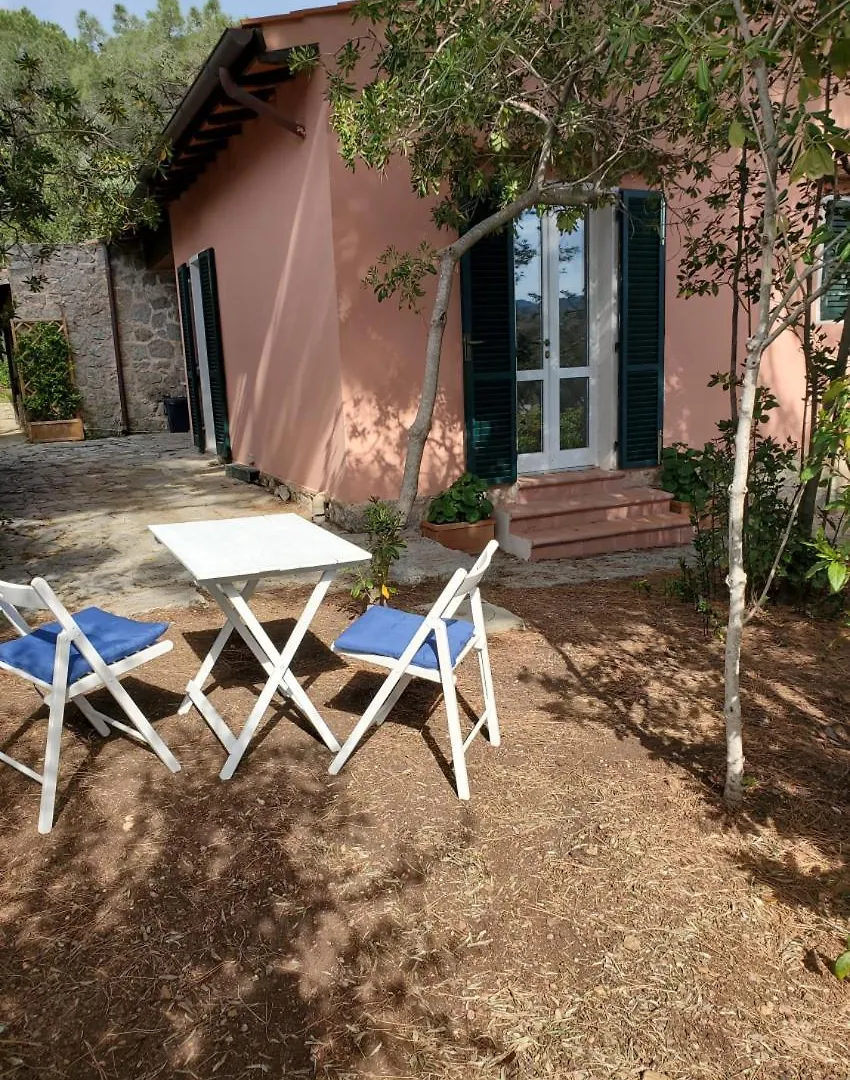 Apartmán Casa Degli Ulivi Procchio  Itálie